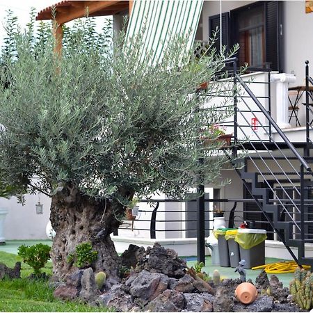 Pompei Gryllus Bed & Breakfast ภายนอก รูปภาพ