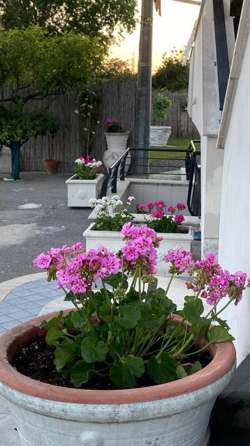 Pompei Gryllus Bed & Breakfast ภายนอก รูปภาพ